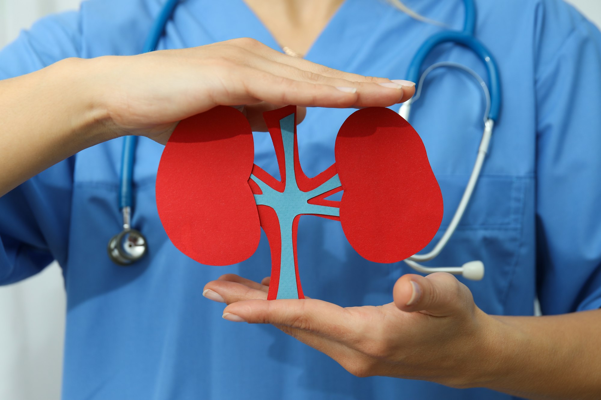 Kidney Care and Precautions for Managing Rising Creatinine Levels